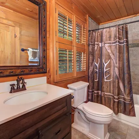The Buckhorn By Stony Brook Cabins Gatlinburg Exterior photo